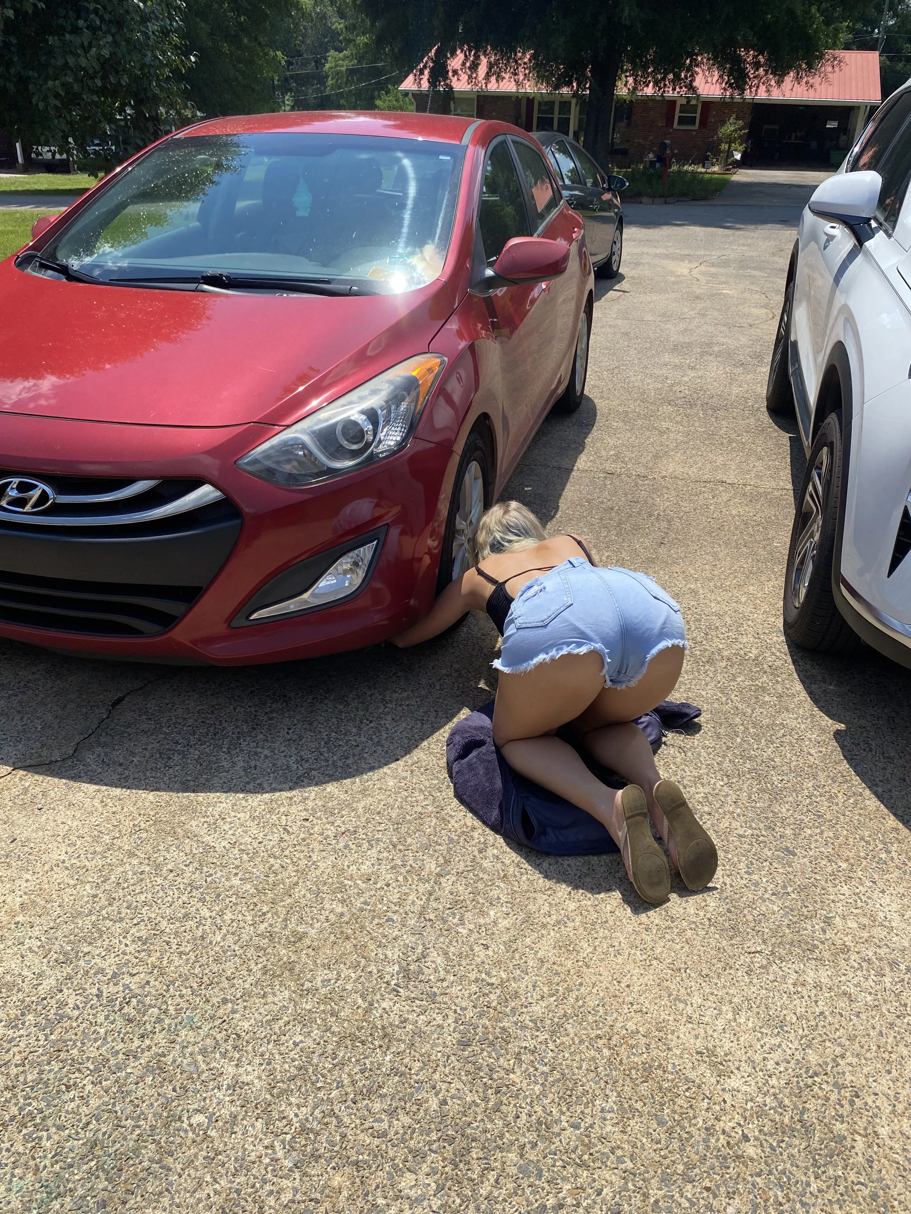 Puppy ran under the car 🤷🏼‍♂️[f] posted by Frostygecko