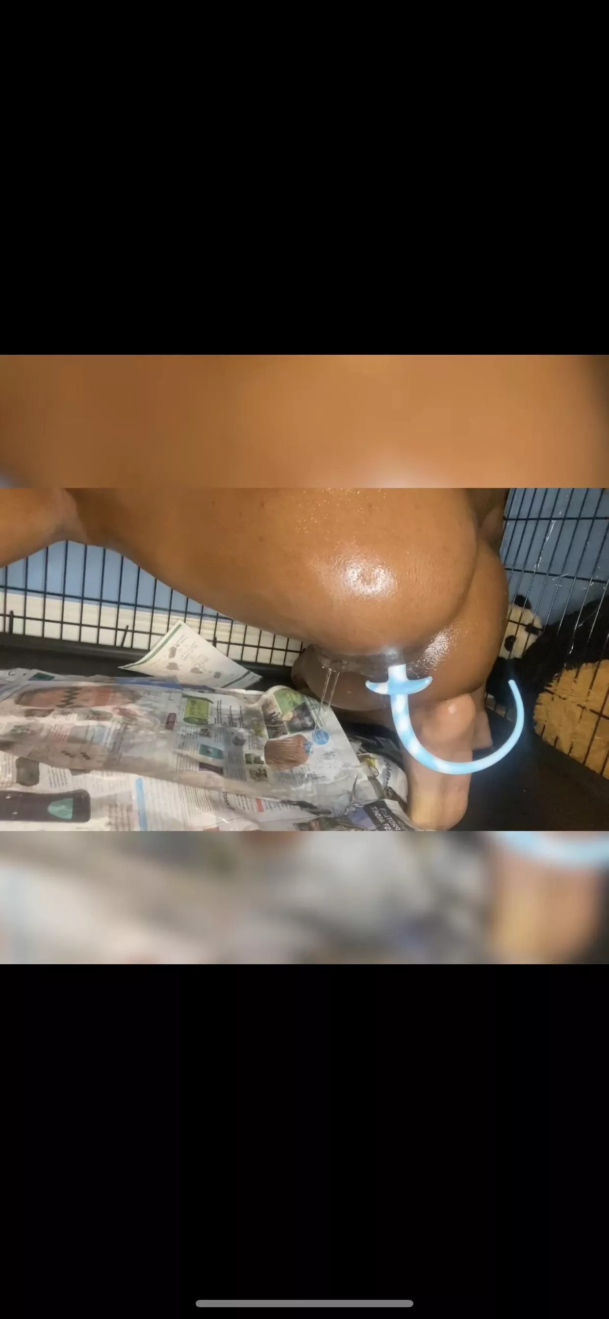 Puppy went potty on the newspaper like a good pup!!!🐾🐶 posted by Cutiepuppi