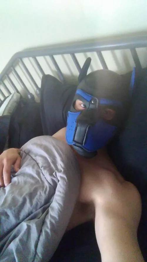 Pups needs all the snuggles, maybe a nice bone to play with too. Awooo! by PupMaxis