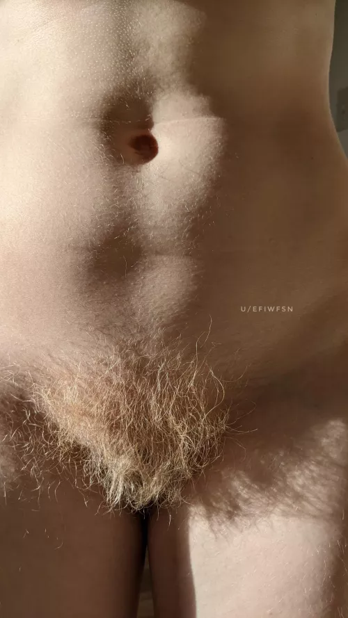 Pure edible gold by efiwfsn