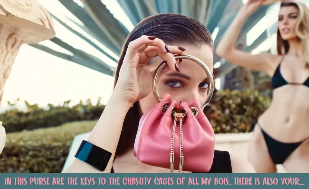 purse posted by Slave_Leo