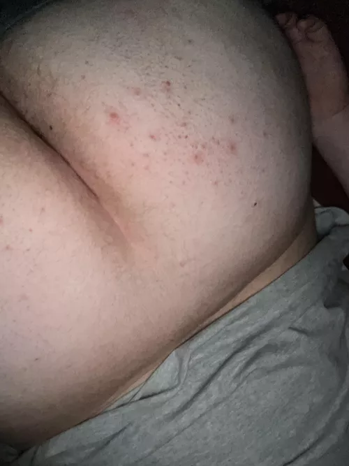 Put ur face in my ass now. by FusionZ3