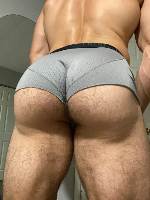 Put your face between my cheeks! by ceasarguccio