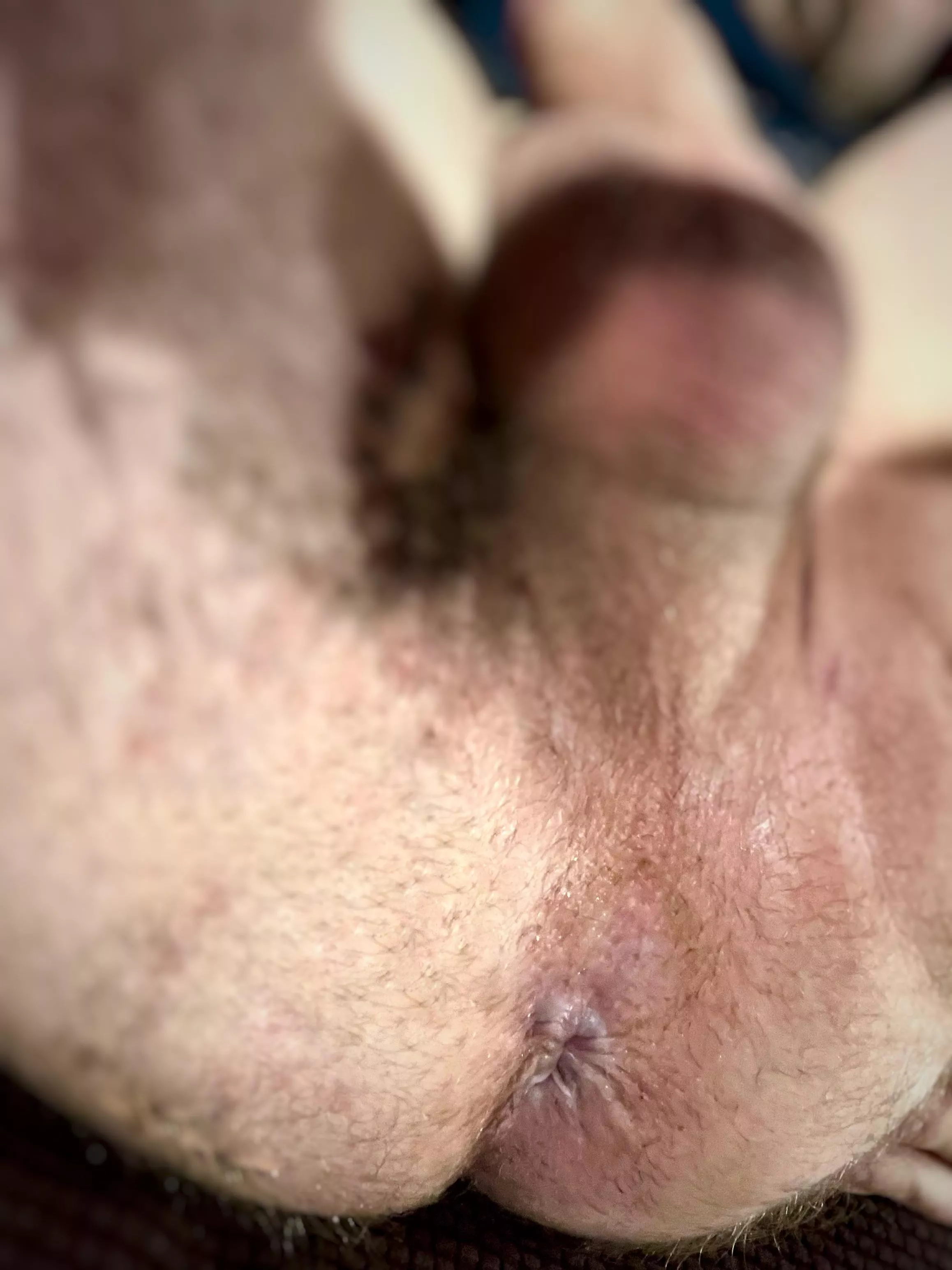 Put your tongue in my sweaty ass posted by BigSweatyNut5