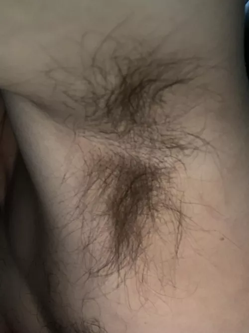 Quick pit shot by Geekguy78