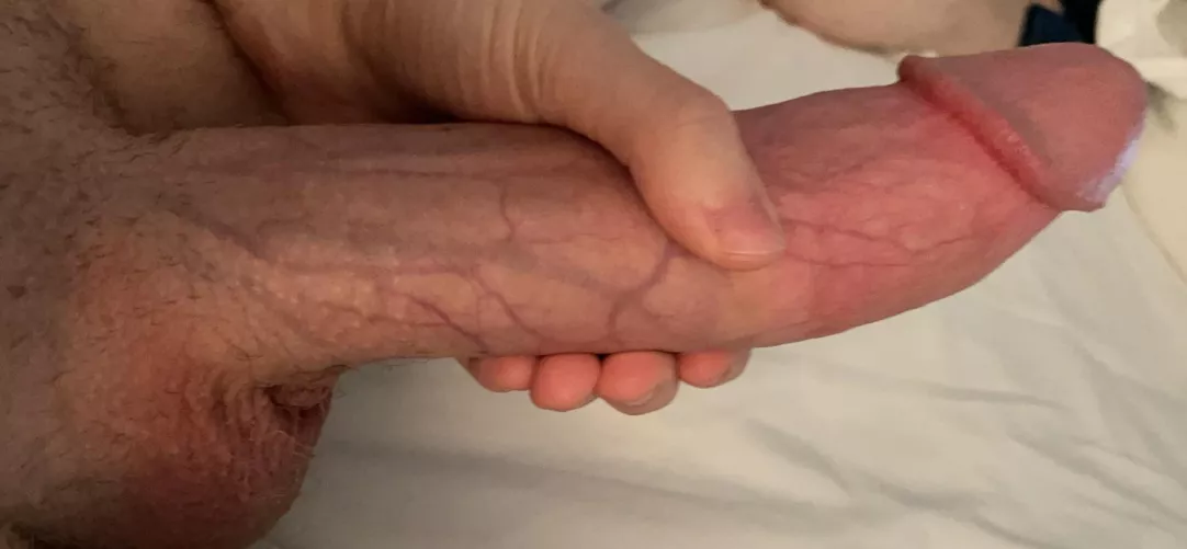 Quick question: will you please suck my cock? by SOLAT6isBack