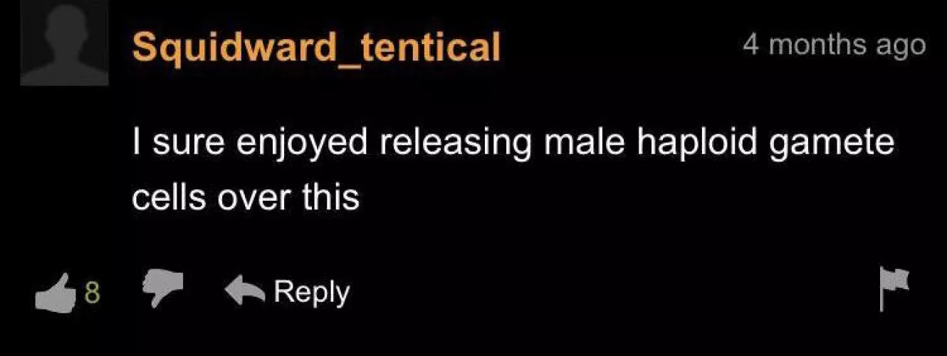 quite an exquisite experience by swight_takes_walls