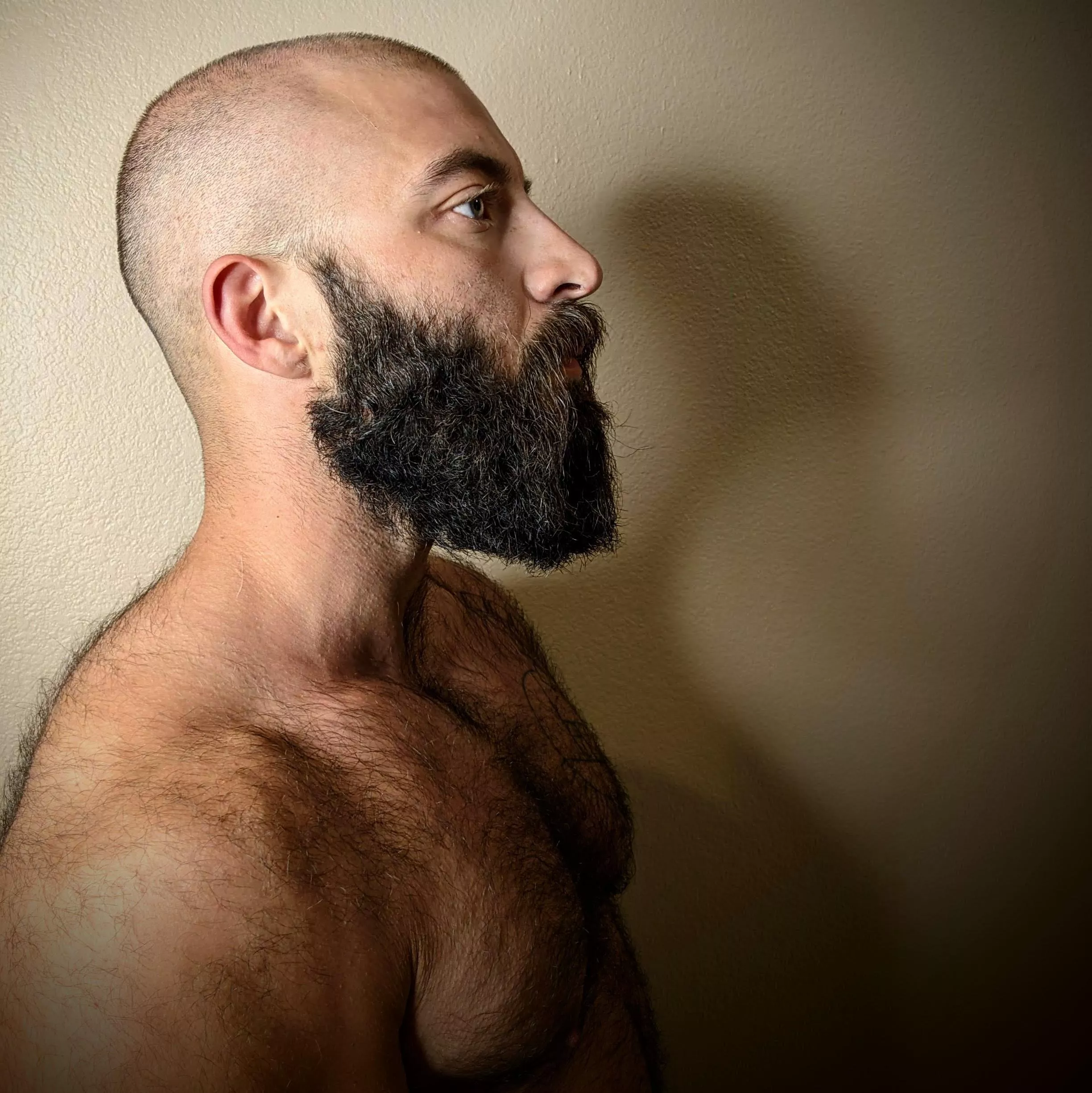 /r/ beards got mad bc I wasn't wearing a shirt, didn't figure you guys would mind tho posted by TripleXTransManXXX