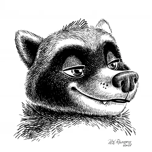 Raccoon portrait. By me by Nik159