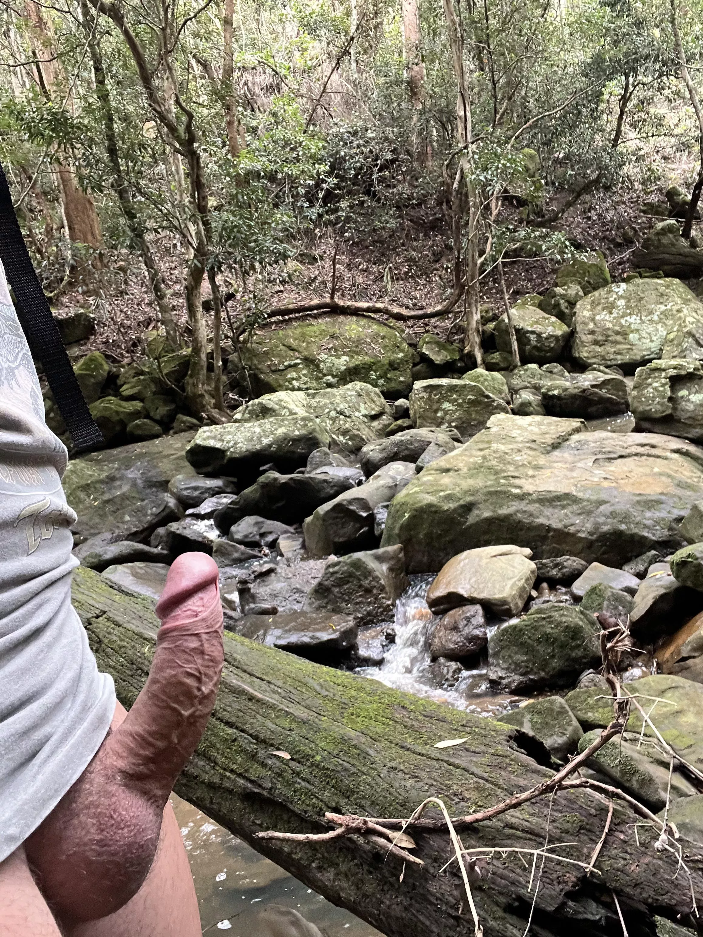 Rainforest dick posted by slimozguy