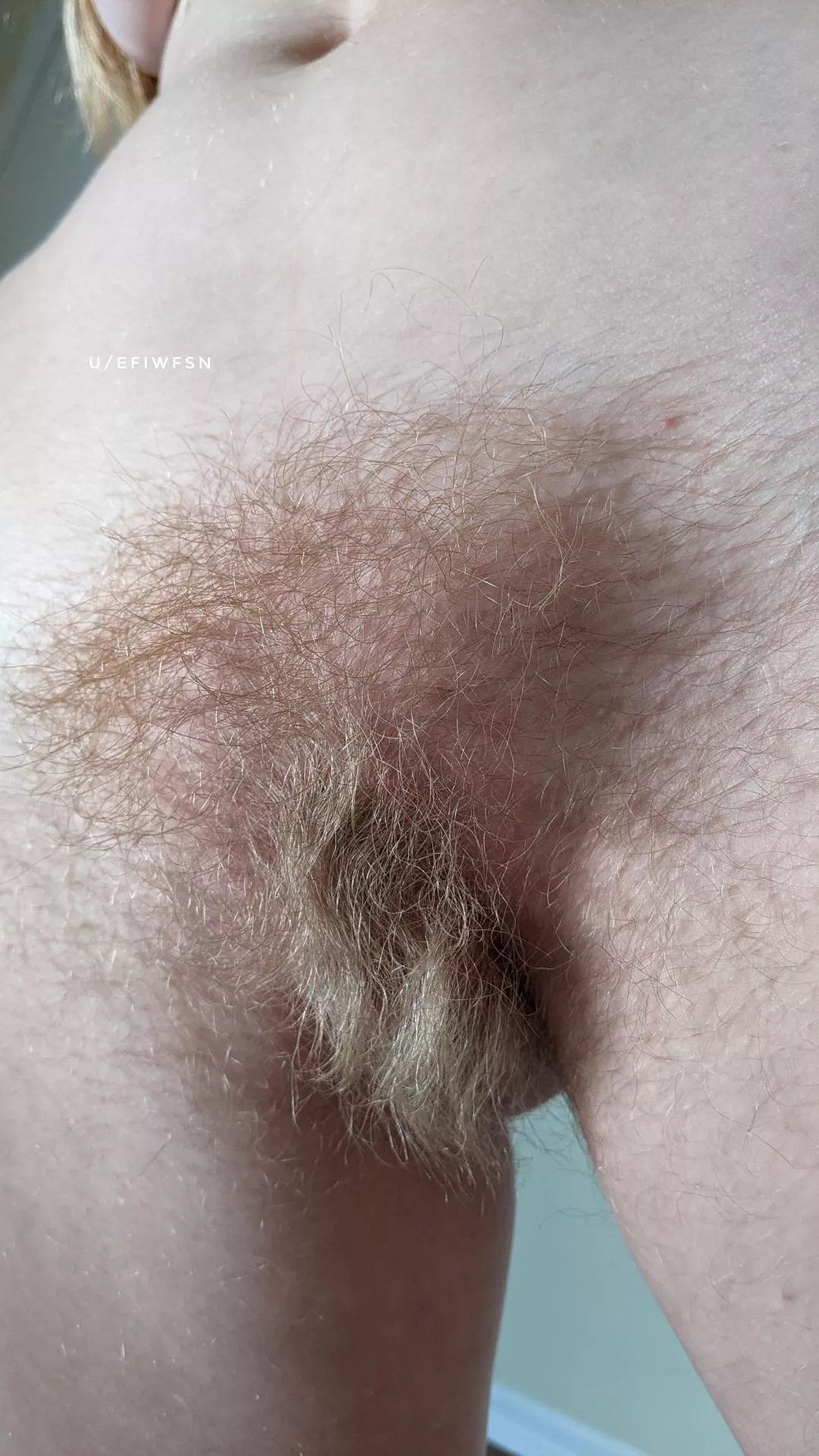 Rapunzel's rug posted by efiwfsn