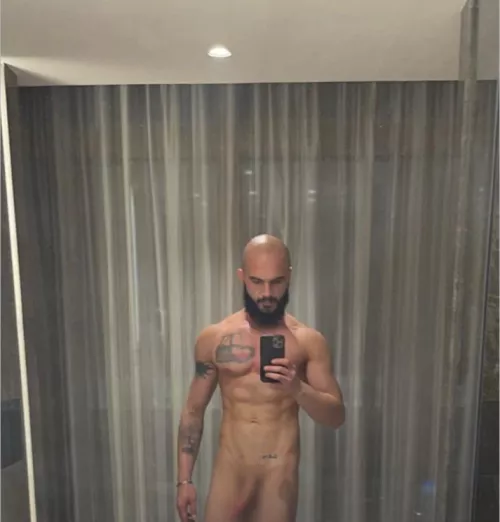 Rate me how close to a Alpha am I? by albish