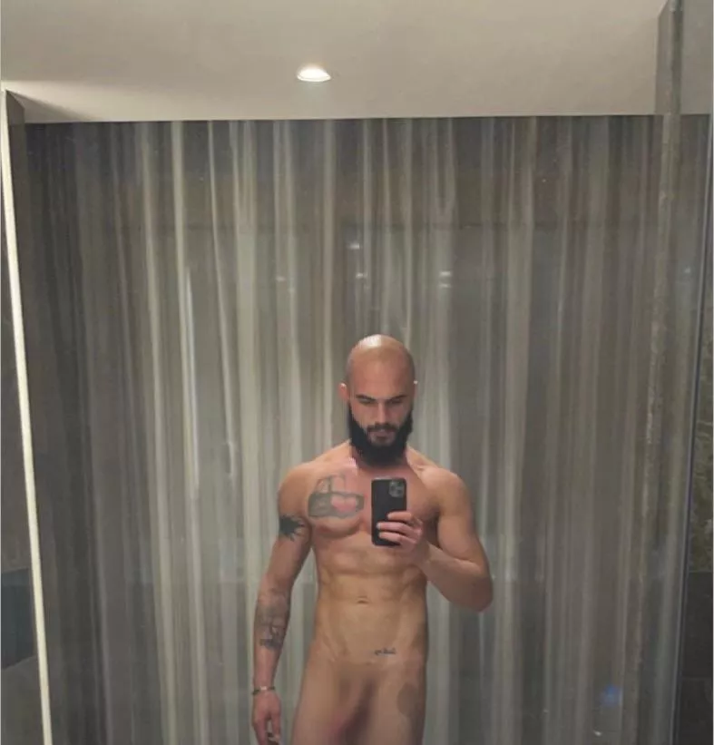 Rate me how close to a Alpha am I? posted by albish