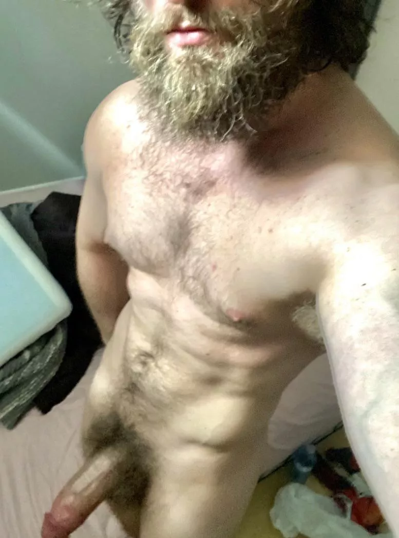Rate my beard and cock 1-5 posted by Glass_Bedroom_3687