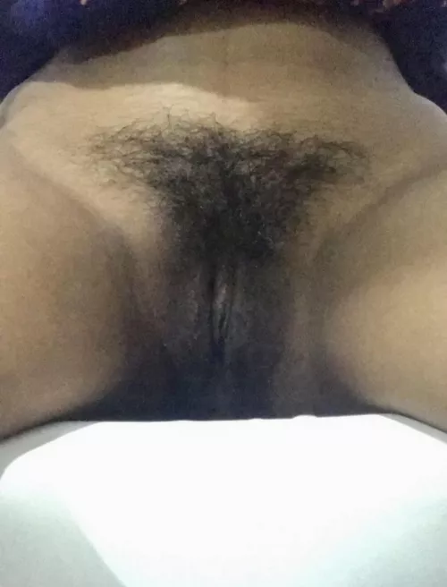 Rate my Bushy Pussy🥺 by No_Channel_5646