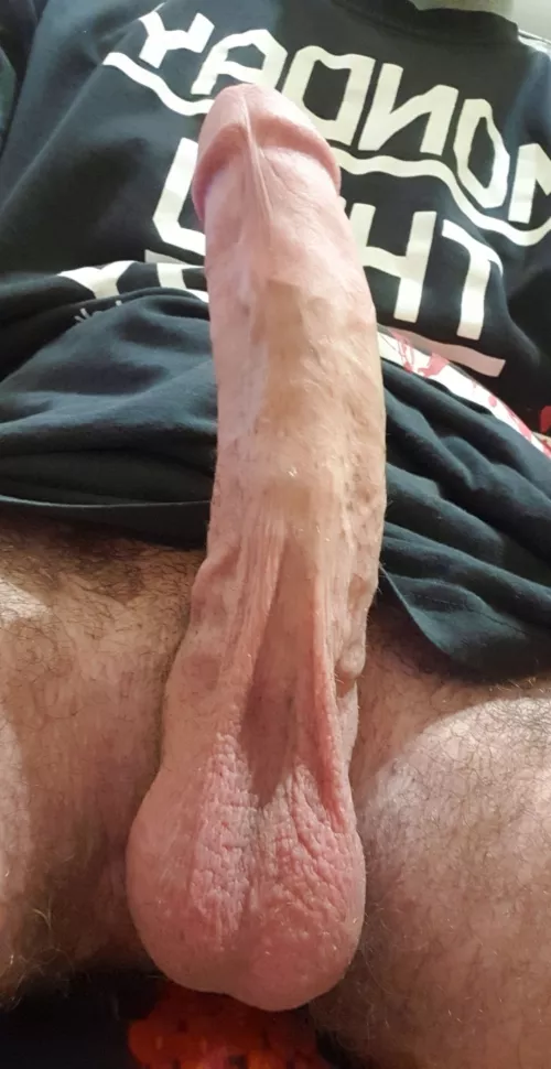 rate my cock by Winter_Loss_2471