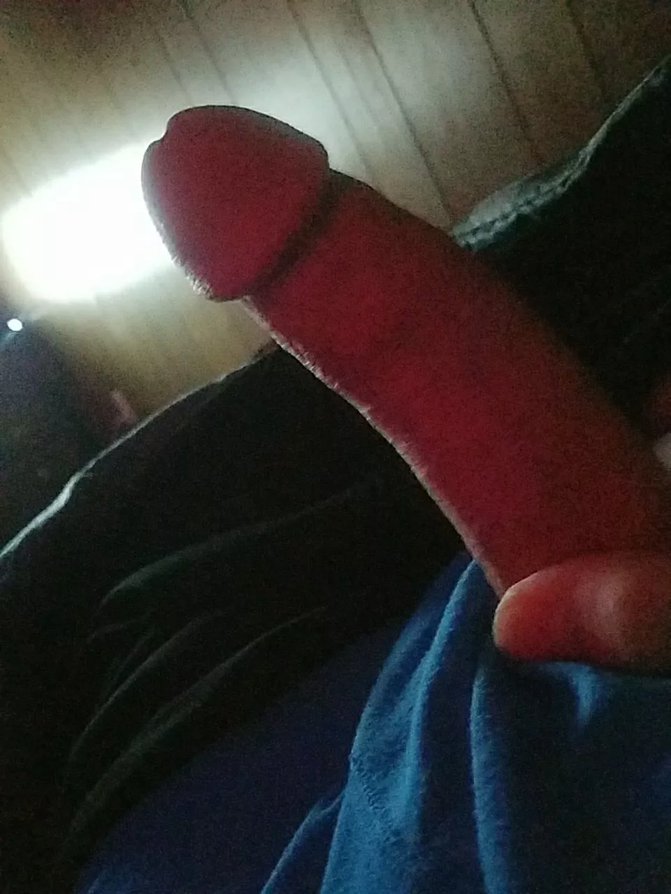 rate my cock posted by Dankwolf72