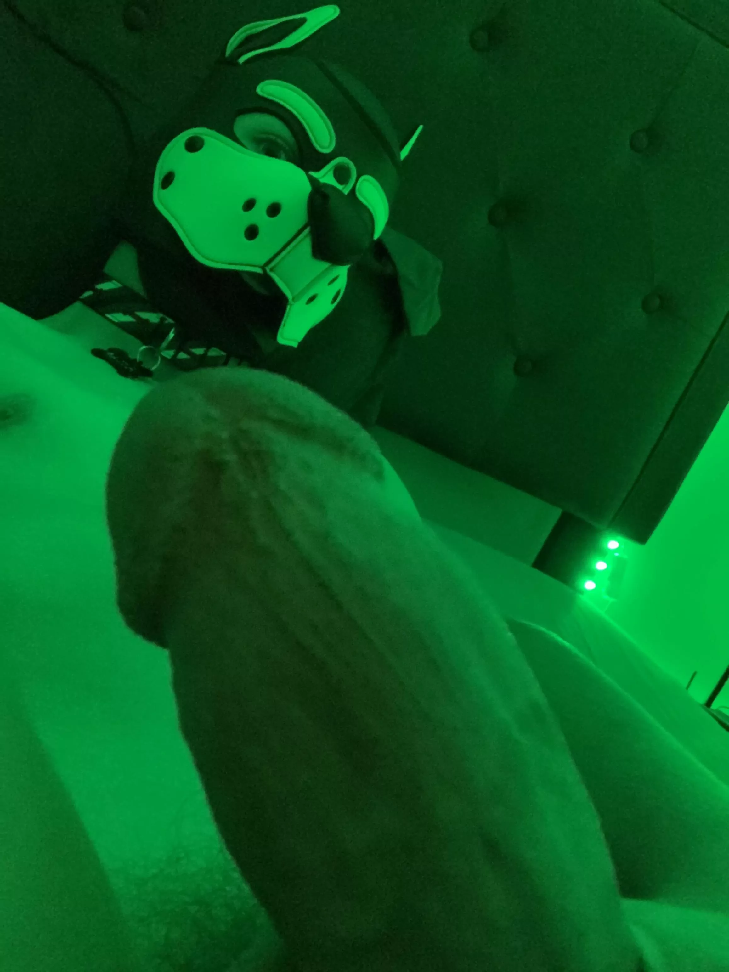 Ready? 🥵 posted by Pup-Atlas