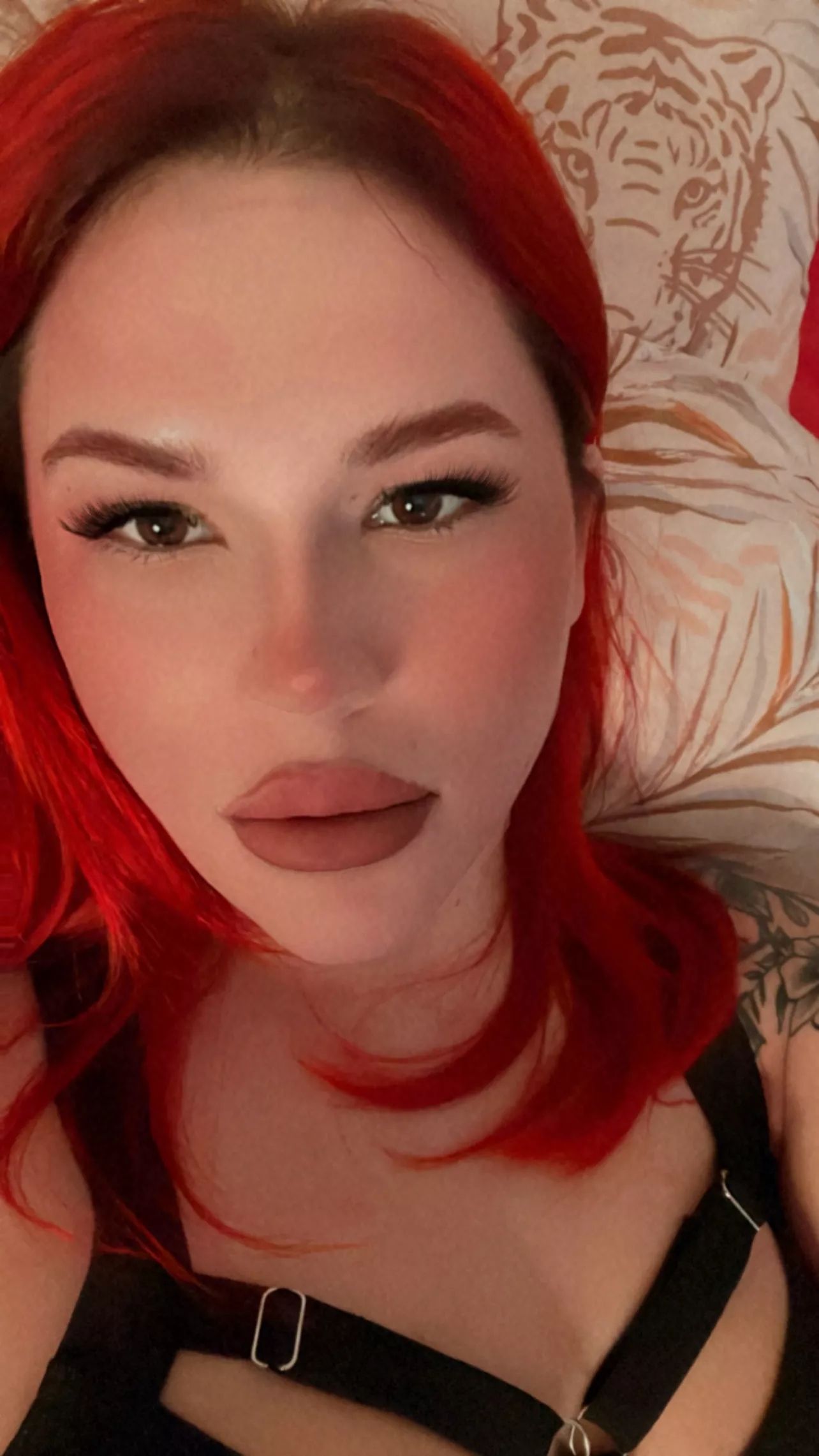 Ready for Bed! posted by _Speedcheck