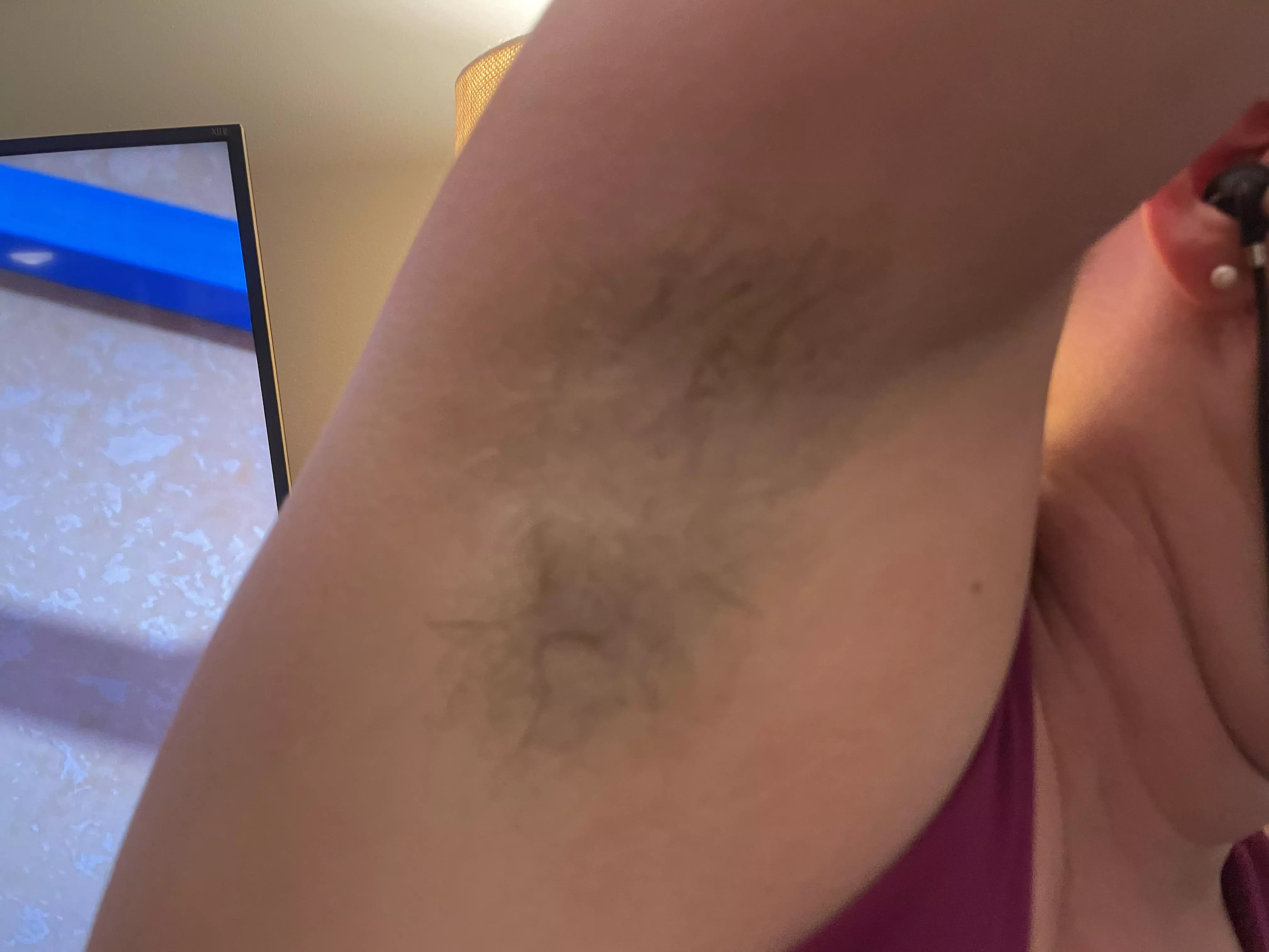 Ready for my closeup! posted by randyrabbit1983