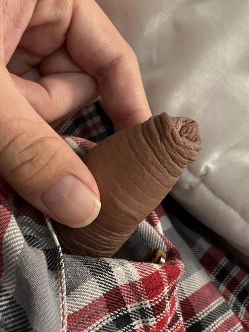 Ready for my morning jerk 😉 (27) by No_Association9790