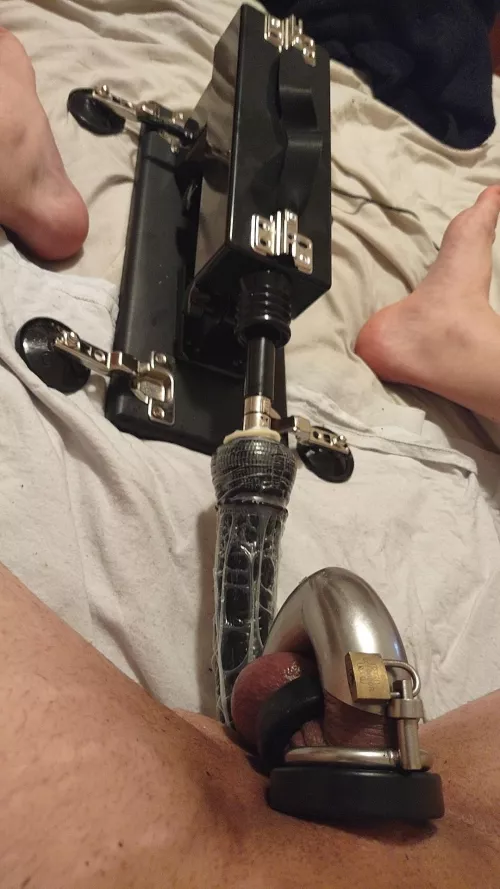 ready for my sissygasm training by lnixspunx