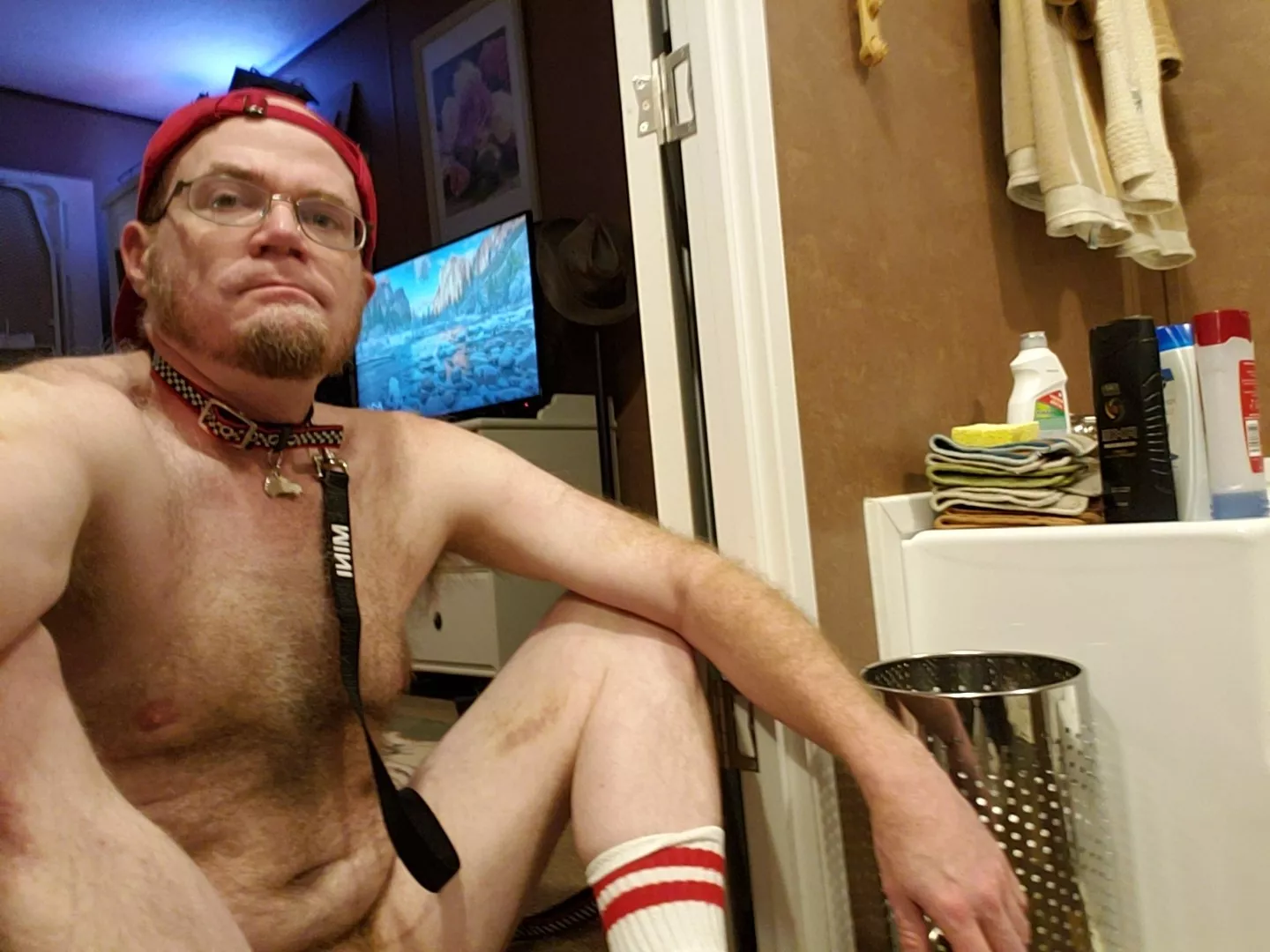 ready to go for a walk posted by PupNimrod