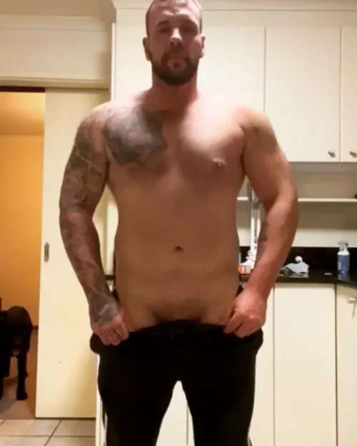 Ready to pound pussy by Striking_Muscle_9776