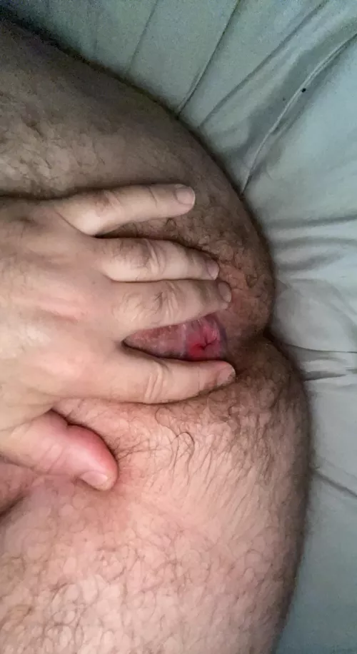 Ready to take loads by gaydudeinnorman