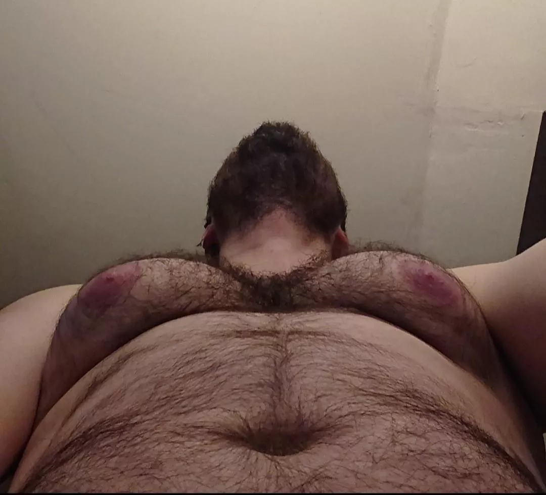 ready.... posted by No_Helicopter815