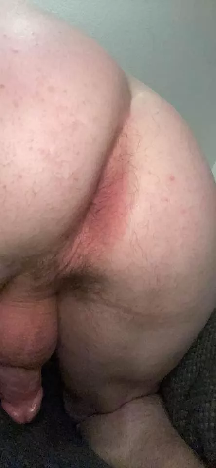 Ready. posted by Ok_Breadfruit_1152