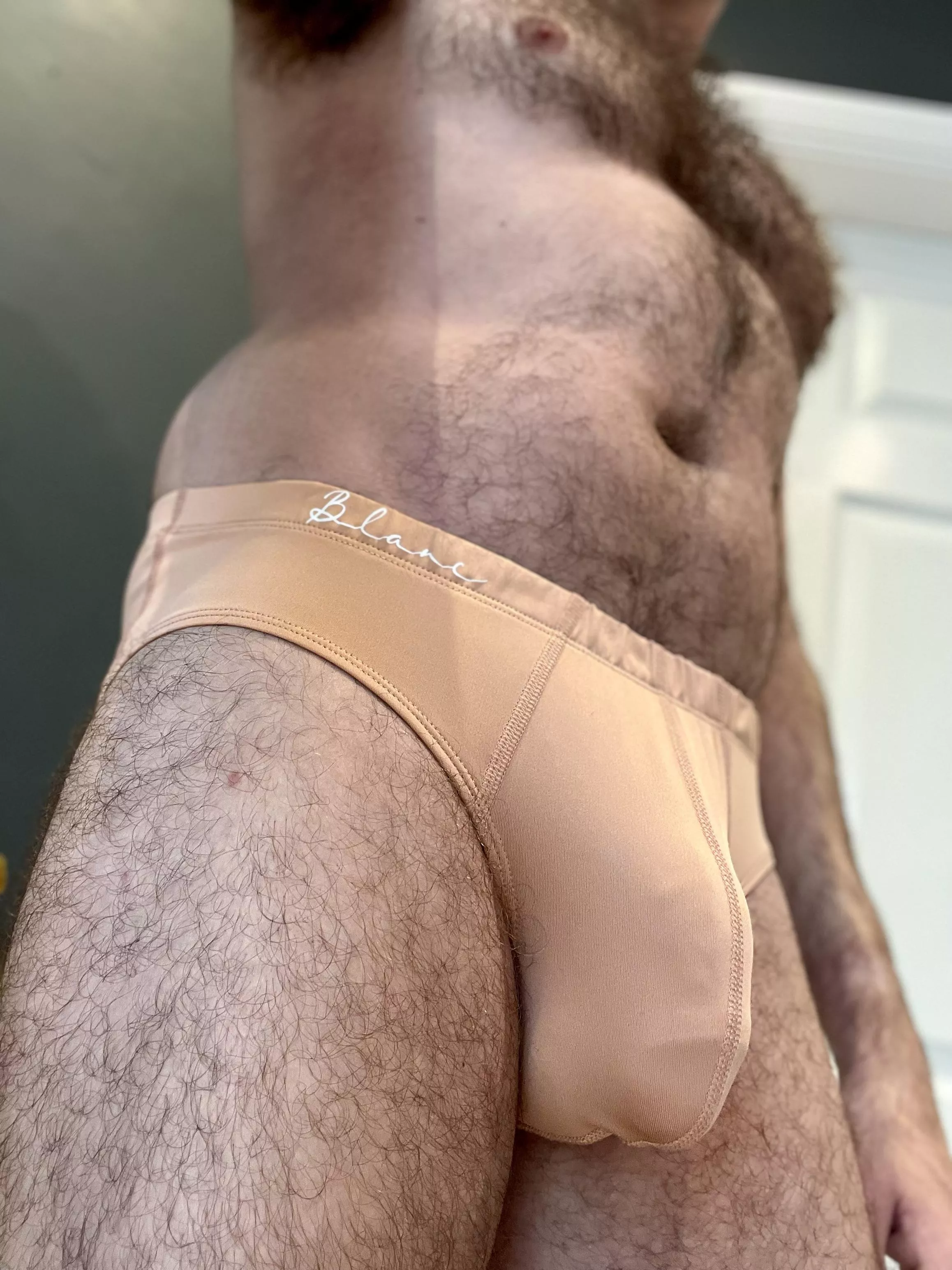 Really in love with these Blanc briefs posted by atrophicshiner