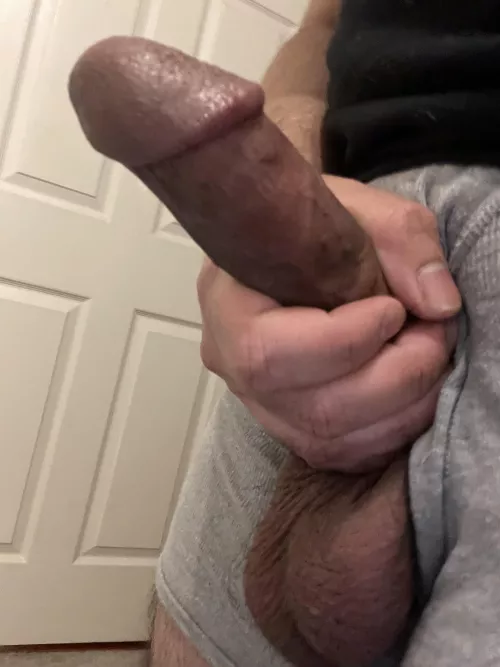 Really wish I had a face to fuck😮‍💨 by quickquestion880