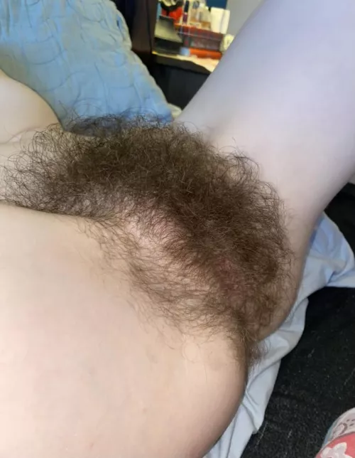 Reckon I should trim back? by Many-Aioli688