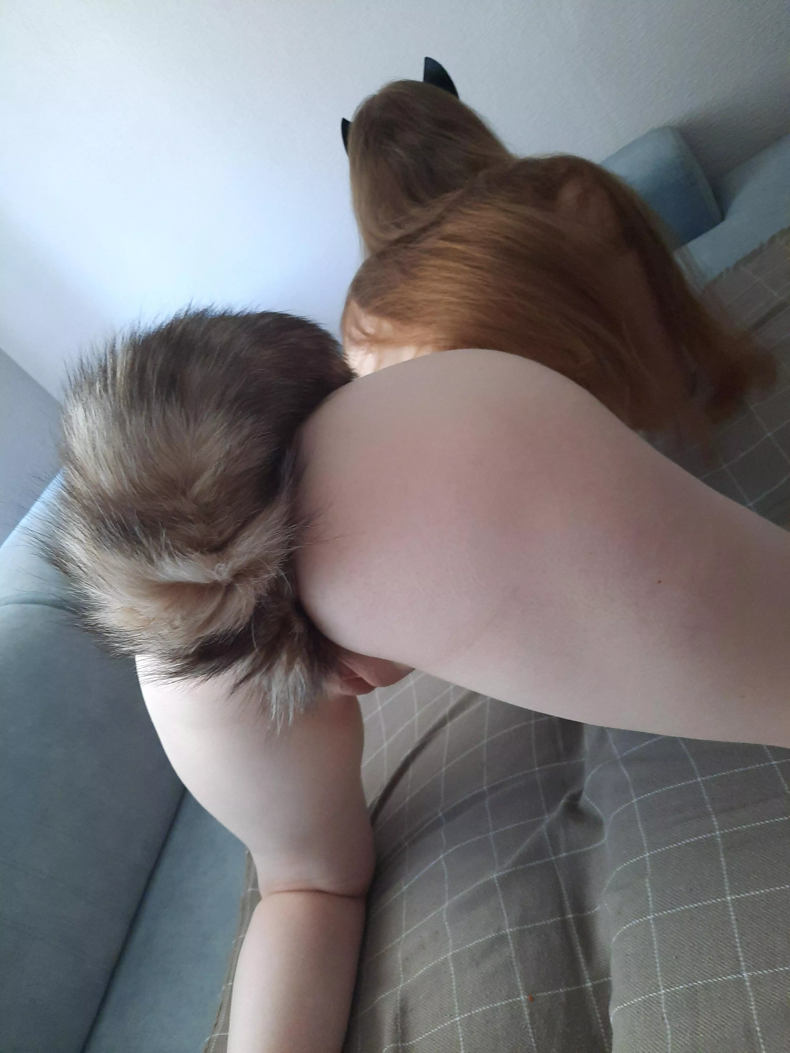 Red fox 🦊 posted by GingerLady-