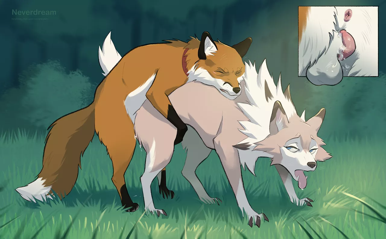 Red Fox x Lycanroc - Hump [MF] (Neverdream) posted by OwO_Bot