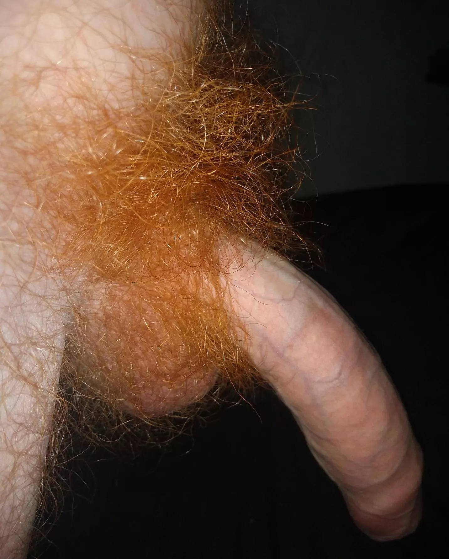 Red hot fire crotch 🔥 posted by tarzanginge