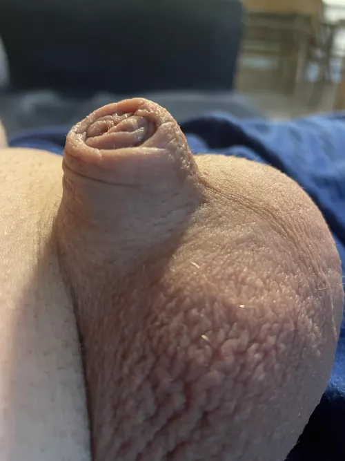 Relaxing on a Sunday (40) by Friendly-Jacket-1793