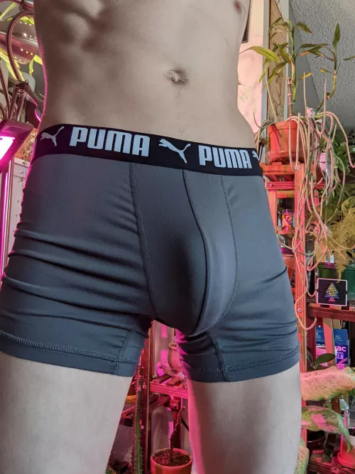 release me 😏 by blockbustersbackroom