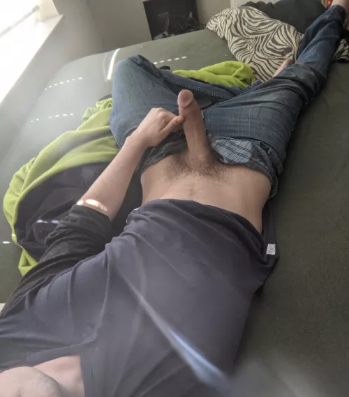 reproductive ants are called alates by hruturthrowaway