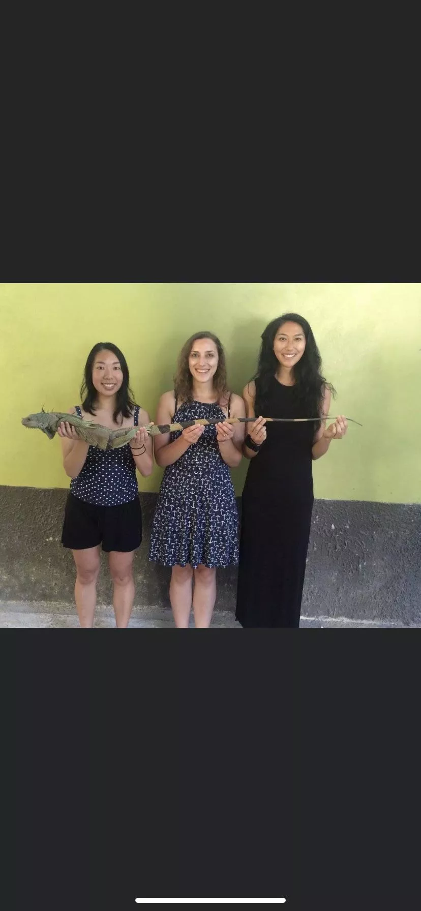 Reptile posted by swonebros