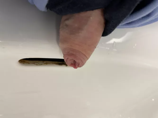 Resting at work (40) by Friendly-Jacket-1793