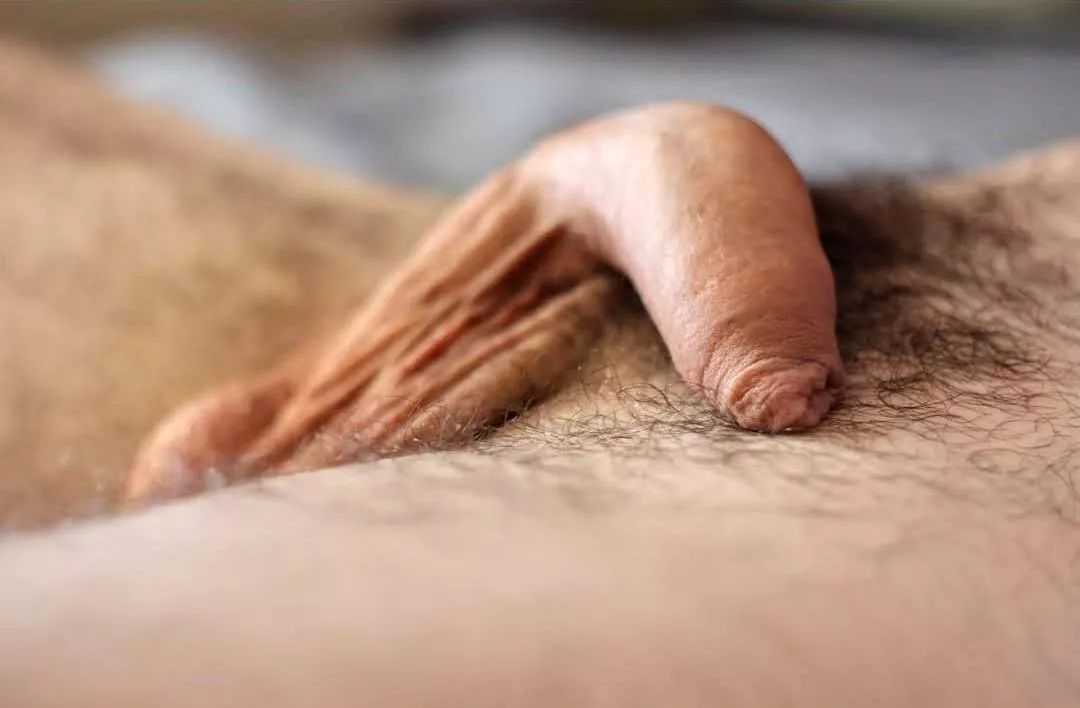 Resting Softie. Photographed in LA. DM if interested in being photographed. posted by Maltman843