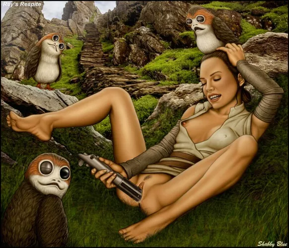 Rey skipped the final lesson to go learn about something else (Shabby Blue) by BiggusJunkus