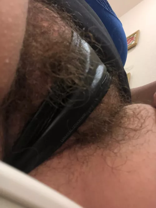 Ride my magic carpet? [OC] by NatalieHarime