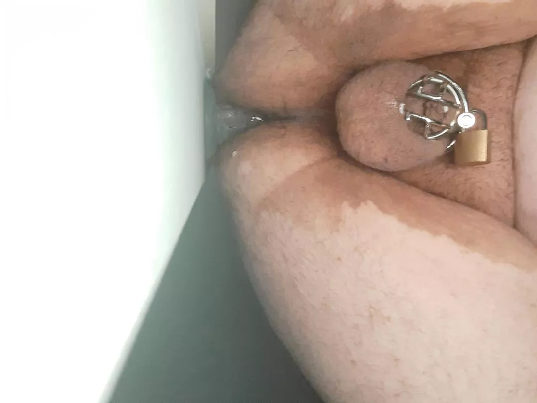 Riding my 8 inch dong. Had to stop my sissygasm as no one here to grant permission. posted by flatsnow