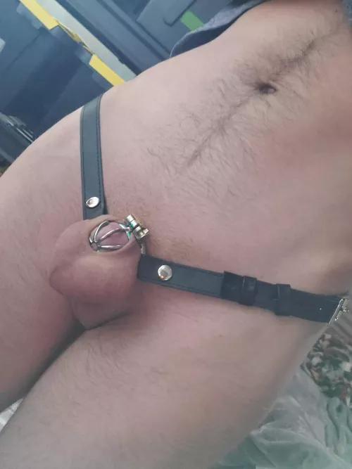 ring belts make chastity hit different by ThesisTheFox