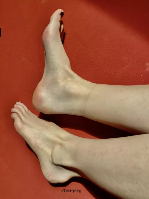 Rise and shine! 🌞🧚🏻‍♀️ by lilshrimpfairy