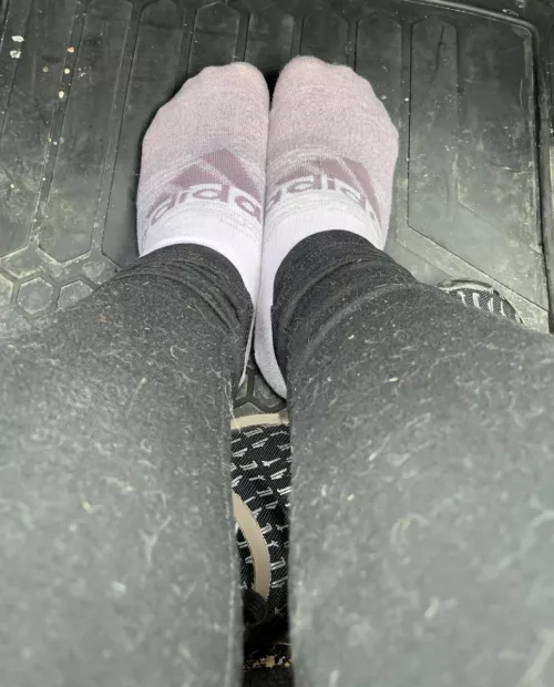 Road trip, anybody wanna come along? (F) by aschultz64