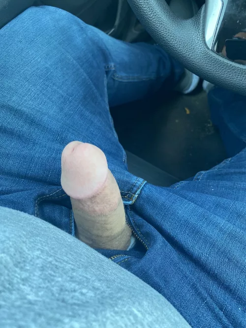 Road trip to see family. Wish I had someone to give me some road head. by PornThrowAway4761